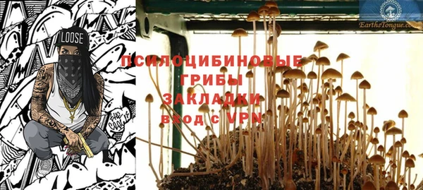 герыч Алексин