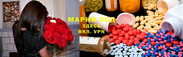 прущие грибы Алексеевка