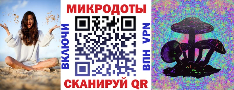 что такое Елабуга Псилоцибиновые грибы Psilocybe